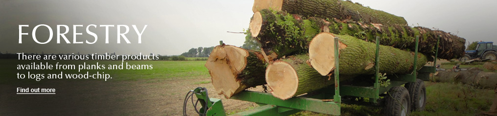Forestry